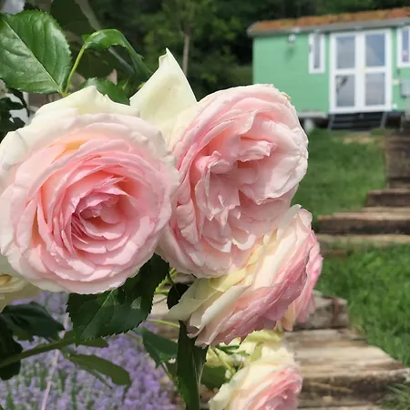 Lulla Cottage Holiday home