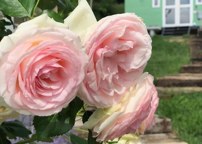 Lulla Cottage Feriehus